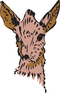Brown Antelope Drawing Clip Art